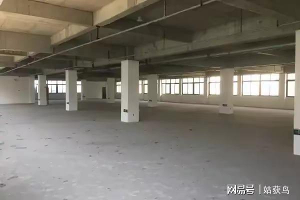 中欧体育官网芜湖市鸠江区有一套大型厂房拍卖被人以2825万元的高价拿下了(图2)